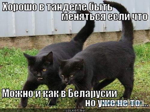 Хорошо было древним греком