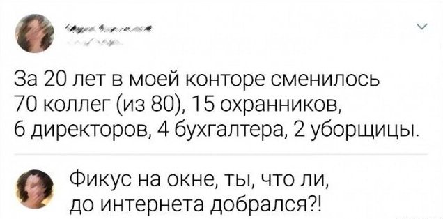 Так себе картинки 20.10.24