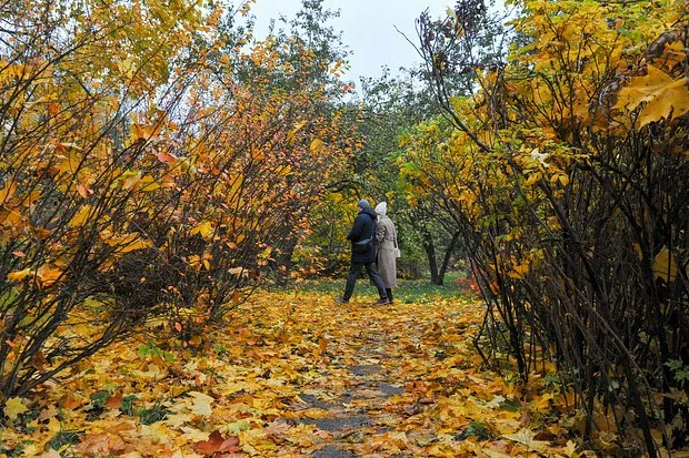 В Москве арестовали двоих полицейских, обвиняемых в изнасиловании девушки.
