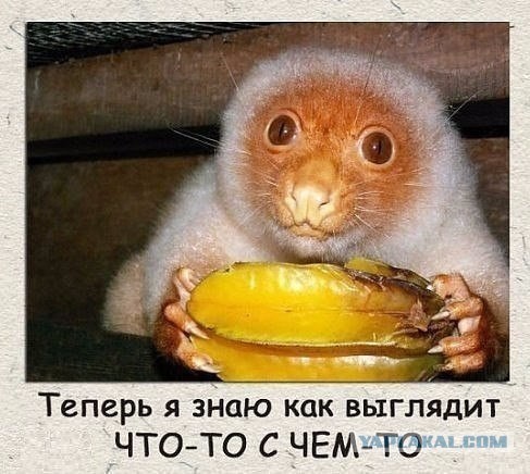 Нуштош 29.01.2025. Наблюдая за наблюдателями (s3e4)