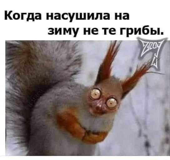 25 картинок от начальника автопарка