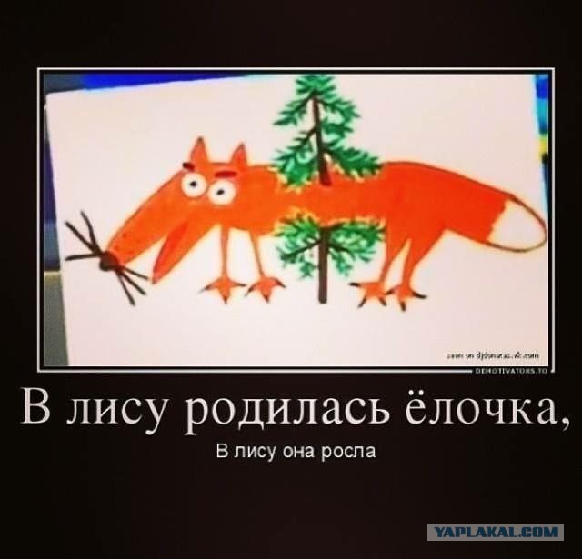 Лисухи и не лисухи