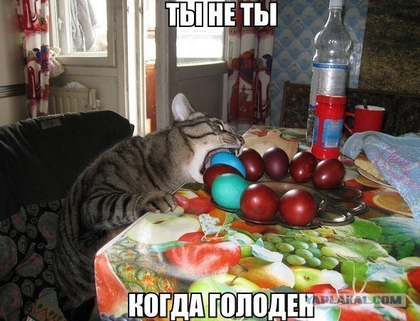Так себе картинки 28.03.25