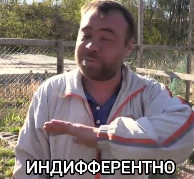 Без одобрения производителя не получится даже стереть ошибку: автосервисы бьют тревогу