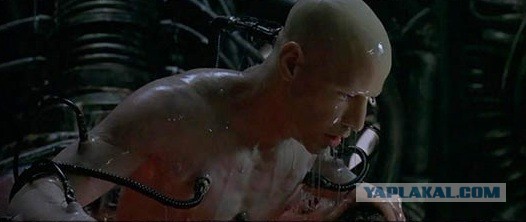 Екатерина посмотрела, как удаляют кочерыжку