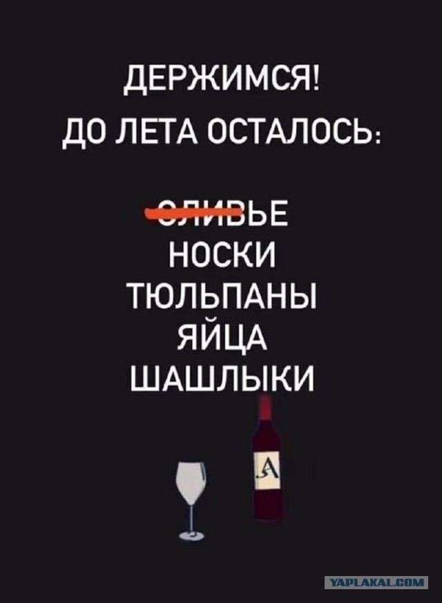 Так себе картинки 29.01.26