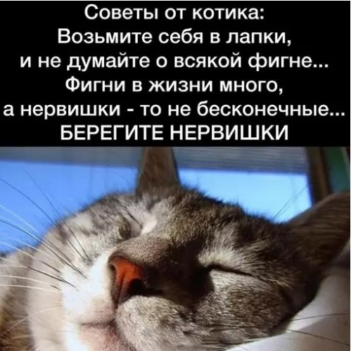 Котямбосы
