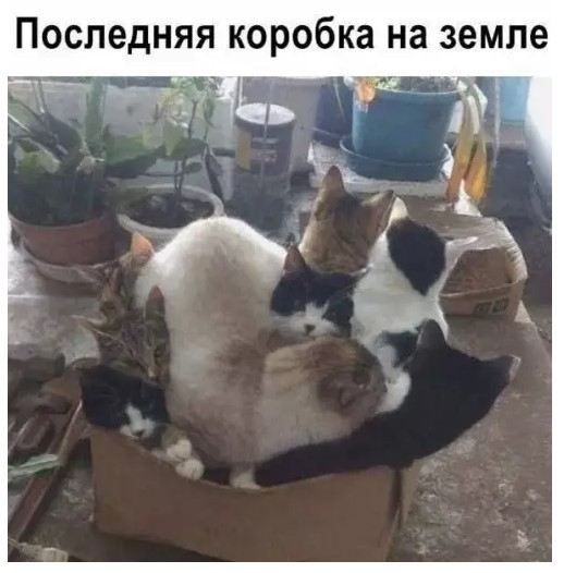 Пакет брать будете?