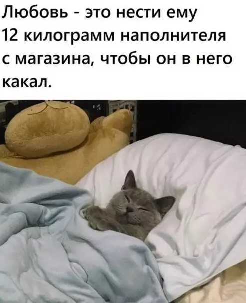 Картиночки, баянчики 01 апреля