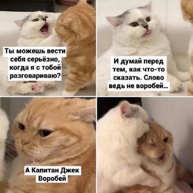 Подборка картинок-баянов с котиками и про котиков. Выпуск 34.
