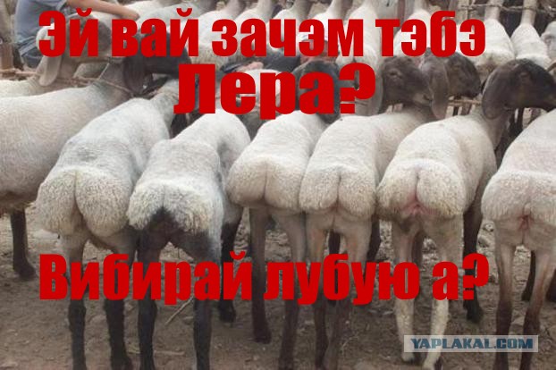 Эпическое признание в любви...