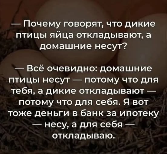 Картинки для деградации 218 (разной степени свежести)