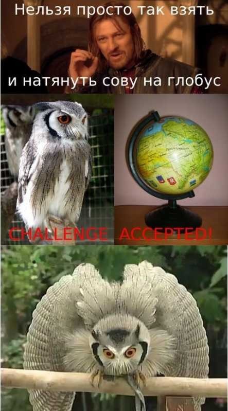 Интернет. Начало
