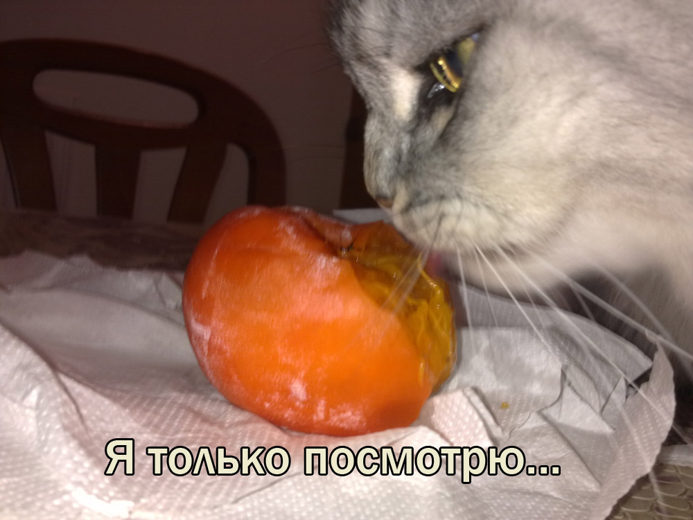 Картинки из серии хурма вяжет рот