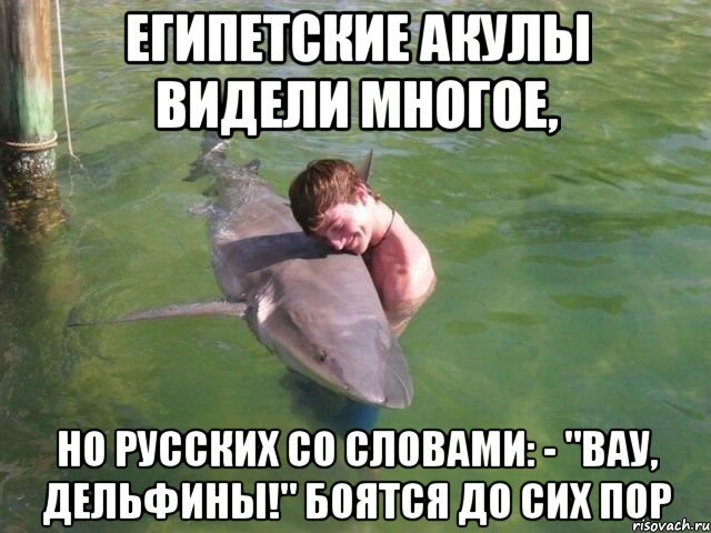 Капля позитива