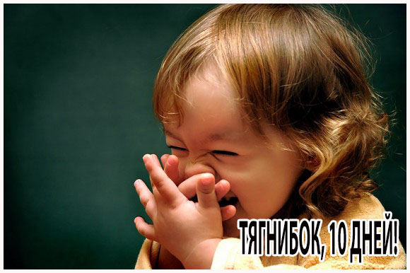 10 дней на мирное урегулирование ситуации