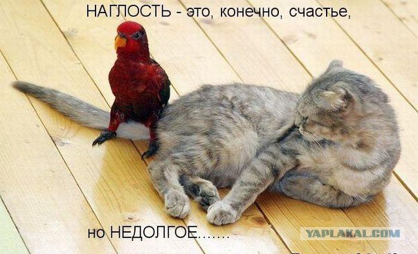 Белый дом: Россия рискует навлечь на себя