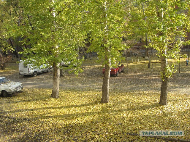 А что у Вас сейчас?