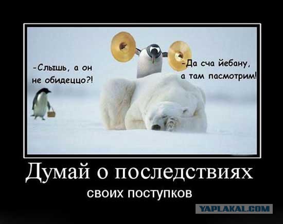 Давно демотиваторов не было