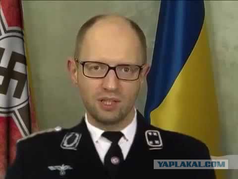 Немецкий журнал высмеял Яценюка