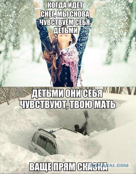 Смешные и не очень картинки из ВК