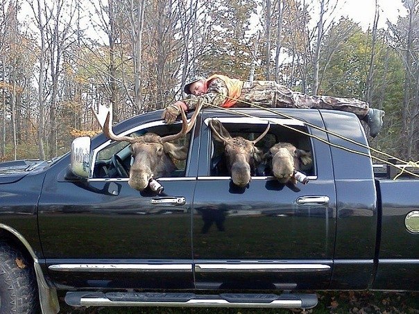 Смешные картинки