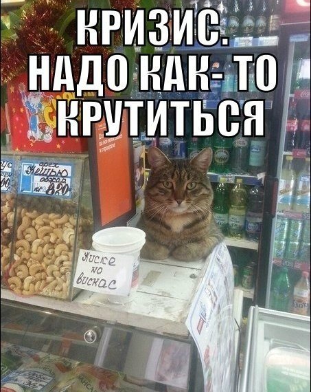 Весёлые картинки