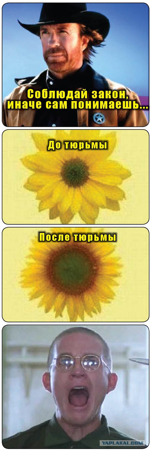 Воплощение мечты болеющего мальчишки