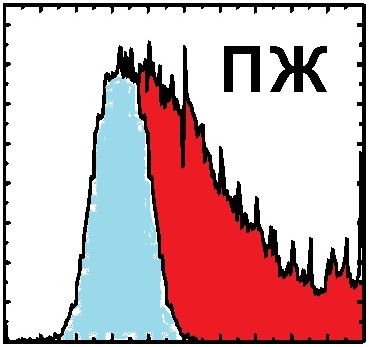 Урна раздора. Нарушения на выборах 2011