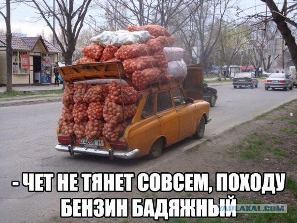 Картинки разные
