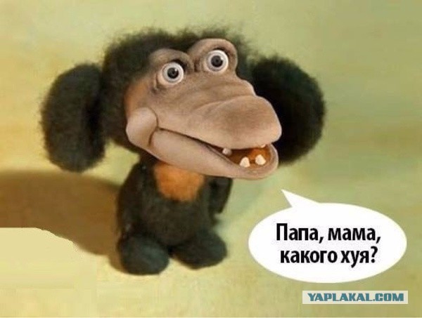 Картинки. Из тырнета