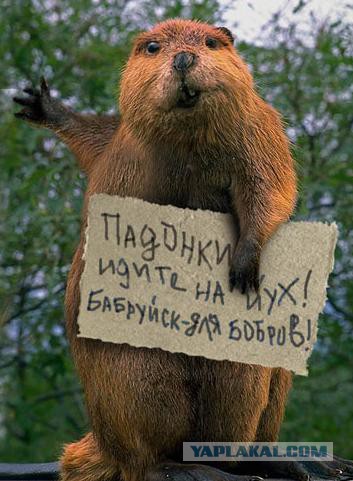 Плюшкиным посвящается