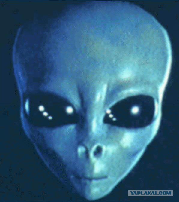 Эволюция за одну минуту