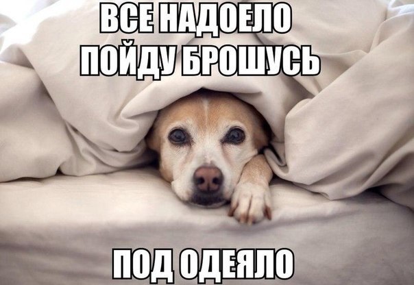 Веселые картинки