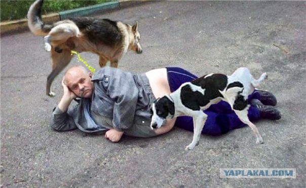 Может пожабим маленько?