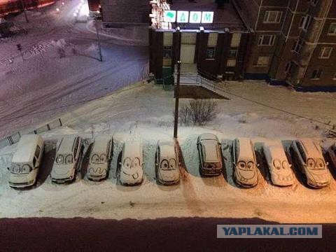 Вечерняя прогулка с дочкой и собакой