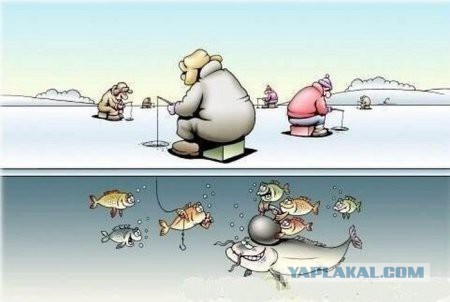 Картинки смешные и несмешные