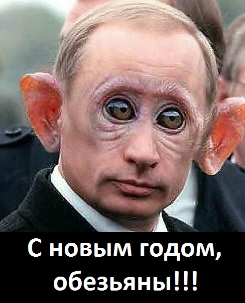 Картинки + гифки.
