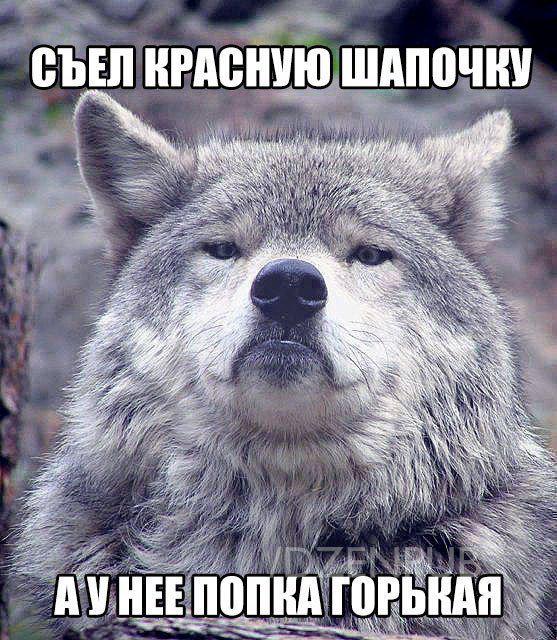 Подборка картинок из сети