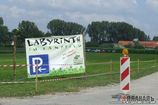 ЗАблудись в канапле