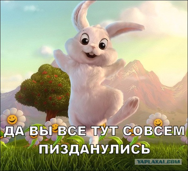 Картинки из сети