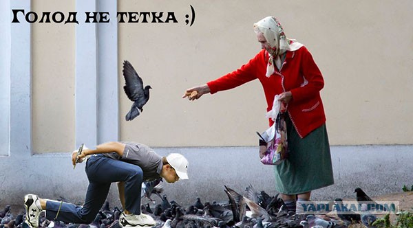 Фотожаба "Гольфист, вдуватель" оригинал+жабы