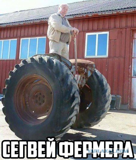 Подборка картинок