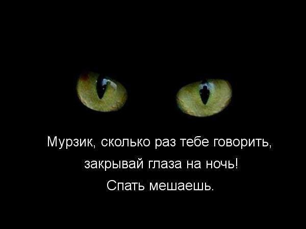 Подборка интересных и веселых картинок