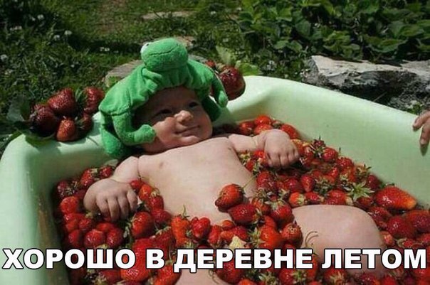 Интересные и веселые картинки