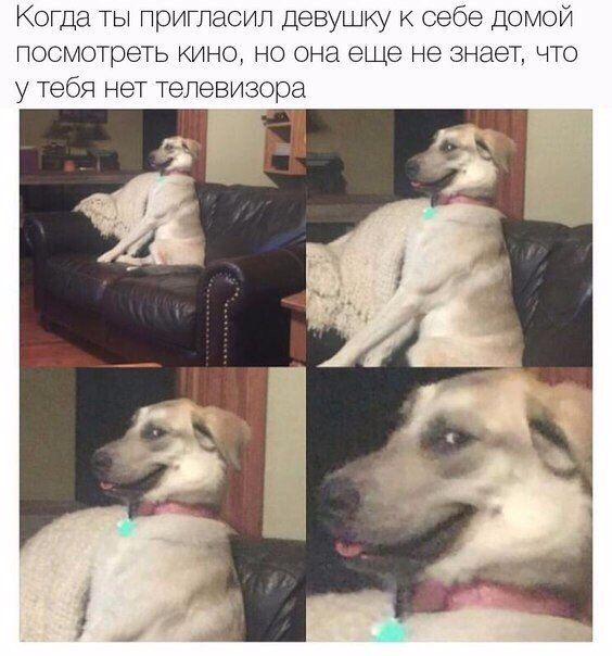 Прикольные картинки