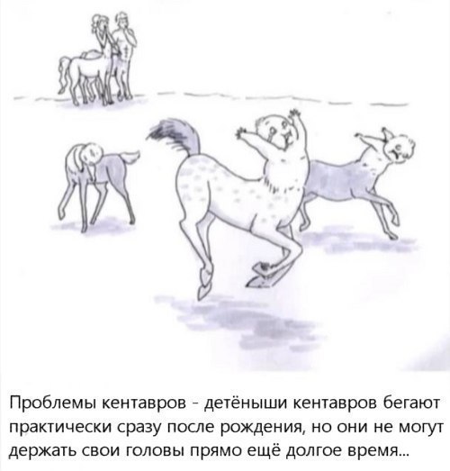 Всякое разное из интернета