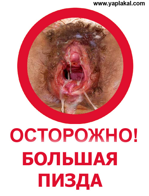 Фотожаба: Осторожно, дятлы в офисе!