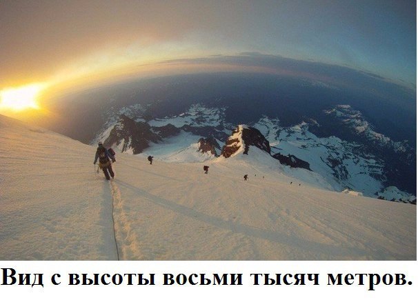 Подборка картинок