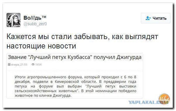 Джигурда признан самым красивым петухом Кузбасса